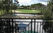 Туры в отель Saddlebrook Resort