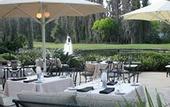 Туры в отель Saddlebrook Resort