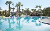 Туры в отель Saddlebrook Resort