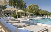 Туры в отель Saddlebrook Resort