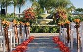Туры в отель Saddlebrook Resort