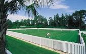 Туры в отель Saddlebrook Resort