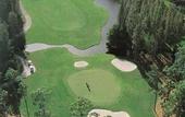 Туры в отель Saddlebrook Resort