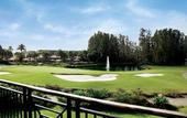 Туры в отель Saddlebrook Resort