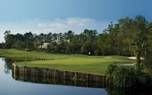 Туры в отель Saddlebrook Resort