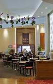 Туры в отель JW Marriott Auckland