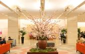 Туры в отель ANA Crowne Plaza Kobe by IHG