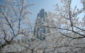 Туры в отель ANA Crowne Plaza Kobe by IHG
