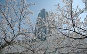 Туры в отель ANA Crowne Plaza Kobe by IHG