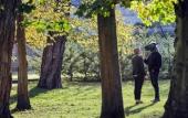Туры в отель Demeures de campagne Chateau de Fontainebleau – Mercure