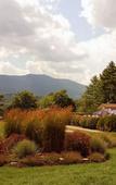 Туры в отель Fox Ridge Resort