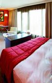 Туры в отель Hilton Geneva Hotel and Conference Centre