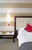Туры в отель Hilton Geneva Hotel and Conference Centre