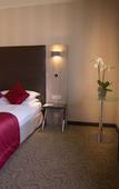 Туры в отель Hilton Geneva Hotel and Conference Centre