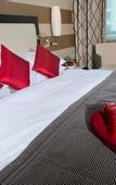 Туры в отель Hilton Geneva Hotel and Conference Centre