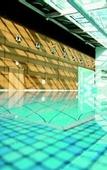 Туры в отель Hilton Geneva Hotel and Conference Centre