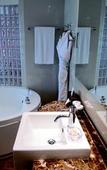 Туры в отель Hilton Geneva Hotel and Conference Centre