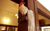 Туры в отель The Fujiya Hotel
