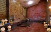 Туры в отель The Fujiya Hotel