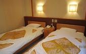 Туры в отель Hakoneonsen Sanso Nakamura