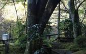 Туры в отель Hakoneonsen Sanso Nakamura