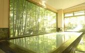 Туры в отель Hakoneonsen Sanso Nakamura