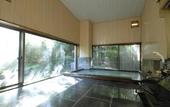 Туры в отель Hakoneonsen Sanso Nakamura