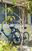 Туры в отель The Reef Beach Resort, East End, Grand Cayman