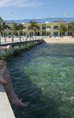 Туры в отель The Reef Beach Resort, East End, Grand Cayman