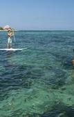 Туры в отель The Reef Beach Resort, East End, Grand Cayman