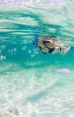 Туры в отель The Reef Beach Resort, East End, Grand Cayman