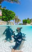 Туры в отель The Reef Beach Resort, East End, Grand Cayman