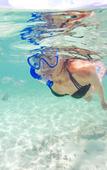 Туры в отель The Reef Beach Resort, East End, Grand Cayman