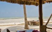 Туры в отель Bluebay Beach Resort & Spa
