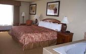 Туры в отель Holiday Inn Hotel & Suites (Сан Диего (Калифорния))