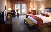 Туры в отель Holiday Inn Hotel & Suites (Сан Диего (Калифорния))