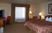 Туры в отель Holiday Inn Hotel & Suites (Сан Диего (Калифорния))