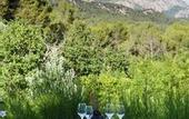 Туры в отель Les Lodges Sainte-Victoire Hotel & Spa