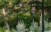 Туры в отель Les Lodges Sainte-Victoire Hotel & Spa