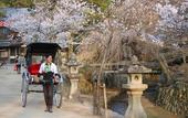 Туры в отель Grand Prince Hotel Hiroshima