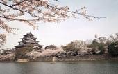 Туры в отель Grand Prince Hotel Hiroshima