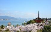 Туры в отель Grand Prince Hotel Hiroshima