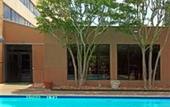 Туры в отель Holiday Inn Hotel & Suites Houston Medical Center