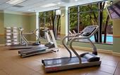 Туры в отель Holiday Inn Hotel & Suites Houston Medical Center