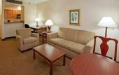 Туры в отель Holiday Inn Hotel & Suites Houston Medical Center