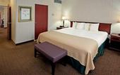 Туры в отель Holiday Inn Hotel & Suites Houston Medical Center