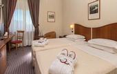 Туры в отель Cavallo Hotel Verona Est
