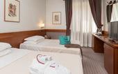 Туры в отель Cavallo Hotel Verona Est