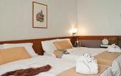 Туры в отель Cavallo Hotel Verona Est