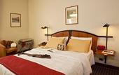 Туры в отель Cavallo Hotel Verona Est